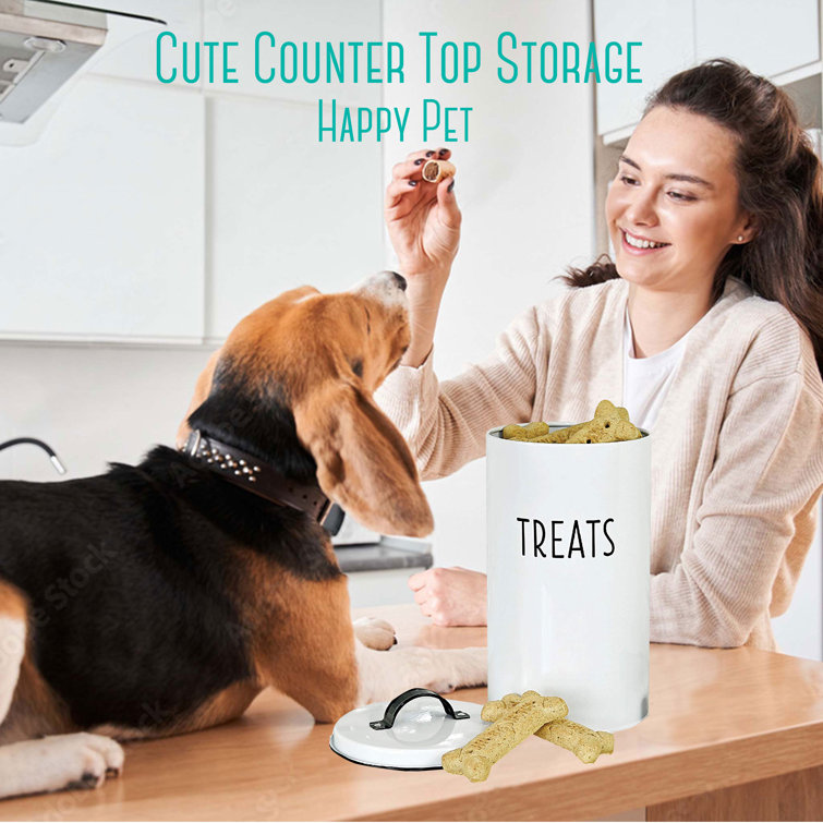 Dog food container outlet for two dogs